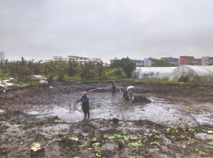 清河河道鱼塘清淤